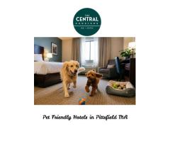 Pet Friendly Hotels in Pittsfield MA: Comfort for You and Your Furry Friend