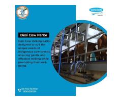 Vansun Milking Desi Cow Parlor in India for A2 Farms