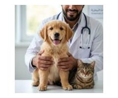 Professional Pet Care Services in Mirdif