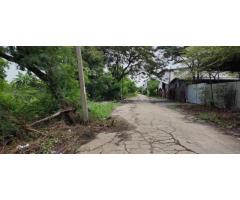 Empty land for sale, 3-1-92 rai, near Bang Bua Thong Market,