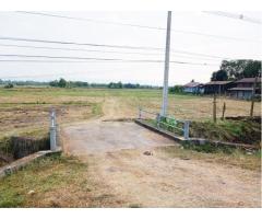 Empty land for sale, 8-3-48 rai, Tha Phon Subdistrict, Mueang