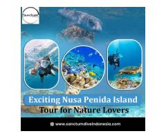 Exciting Nusa Penida Island Tour for Nature Lovers