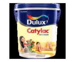 Warna Cerah Tahan Lama dengan Cat Dulux Catylac
