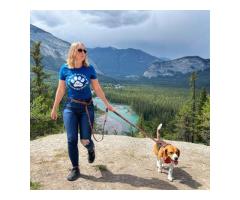 Top-Quality Long Outdoor Dog Leash for Secure Walks - Rocky Mountain Dog
