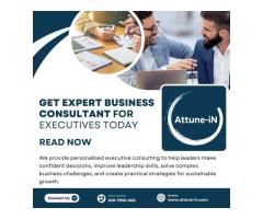 Get Expert Business Consultant for Executives Today