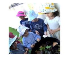 Early Learning Centre Westmead: Building Bright Futures Through Quality Early Education