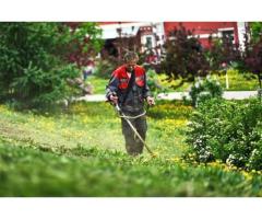 Improve Your Yard with Green Drop Lawns Ltd in Saskatoon