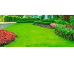 Landscaping Services Abu Dhabi | Sabah Al Mustaqbal