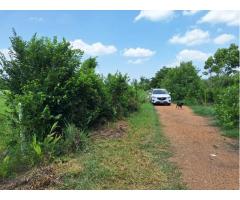 Empty land for sale, 194 sq m., Khlong 4, Khlong Luang, Pathum Thani