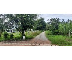 Land for sale in Mae Wang, 162 sq m, Ban Pa Pao Kiew Lae.  Near - 4