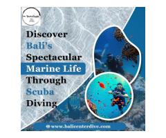 Discover Bali's Spectacular Marine Life Through Scuba Diving