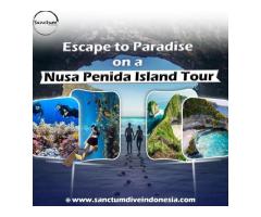 Escape to Paradise on a Nusa Penida Island Tour
