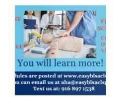 Easy Acls Bls Pals | BLS Training Center | CPR Classes Sacramento, CA
