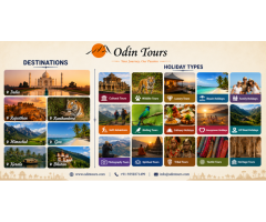Tiger Safari Central India – Explore the Wild
