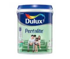 Dulux Pentalite 1l @ 24SGD