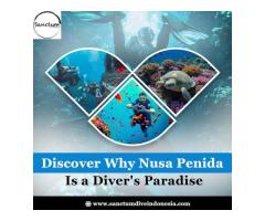 Discover Why Nusa Penida Is a Diver's Paradise