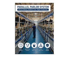 A Parallel Parlor from Vansun Milking Is the Right Choice for Large Dairy Herds