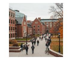 Immigration Consultant in Canada