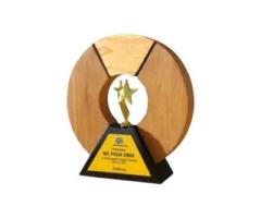 Trophy Shop Delhi – Corporate Awards, Sports Trophies & Medals