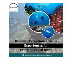 Discover Exceptional Diving Experiences for Every Licensed Diver