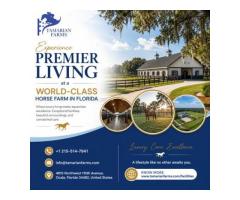 Experience Premier Living at a World-Class Horse Farm in Florida