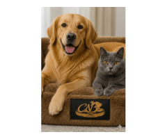 Orthopedic dog bed USA