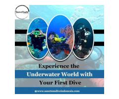 Experience the Underwater World with Your First Dive