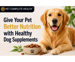 Give Your Pet Better Nutrition with Healthy Dog Supplements