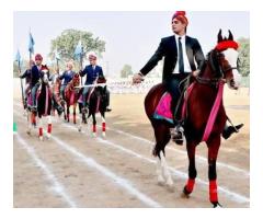 Birla Public School Pilani – Admissions Open for Boys