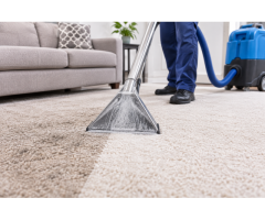 Carpet Cleaning Norlane Professional Carpet Cleaning Solutions