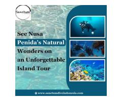 See Nusa Penida’s Natural Wonders on an Unforgettable Island Tour