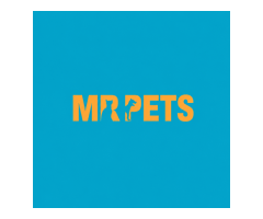 Mr. Pets – Professional Dog & Cat Grooming Services in Abu Dhabi