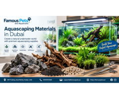 Aquarium Supplies & Aquascaping Products in Dubai
