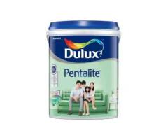 Why Dulux Pentalite is the Best Dulux Anti Mould Paint