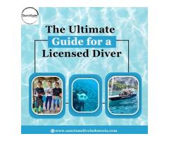 The Ultimate Guide for a Licensed Diver