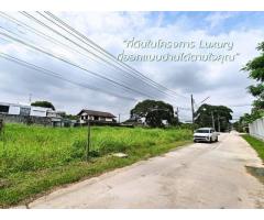 ขายที่ดินที่สร้างสรรค์บ้านได้ตามที่ต้องการอยู่ในโครงการระดับ Luxury