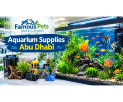 Quality Aquarium Supplies in Abu Dhabi for Healthy & Beautiful Aquariums