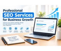 Professional SEO Services for Business Growth