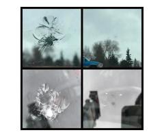 Windshield Repair in Edmonton