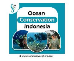 Ocean Conservation Indonesia