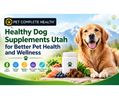 Healthy Dog Supplements Utah for Better Pet Health and Wellness