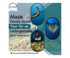 Nusa Penida Island Tour for an Unforgettable Island Experience
