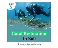 Coral Restoration in Bali