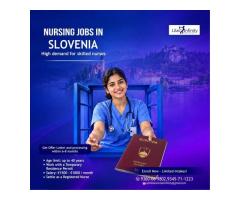 TRP Card Slovenia-lilac Infinity kollam