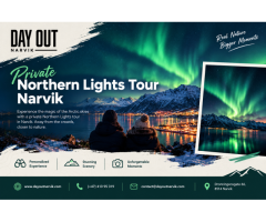 Why Choose a Private Tour to See the Northern Lights in Narvik?