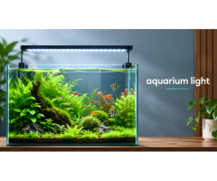 Upgrade Your Aquarium with the Right Aquarium Light