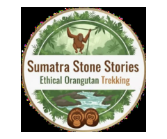 Sumatra Stone Stories offers ethical, small-group orangutan trekking