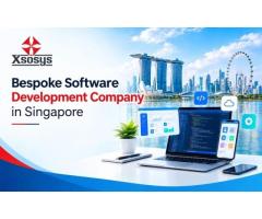 Bespoke Software Development Company in Singapore
