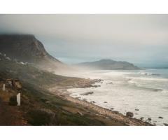 Enjoy a Relaxing Stay in Green Point, Cape Town