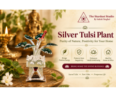 Shop Silver Tulsi Plant at Best Price | The Stardust Studio